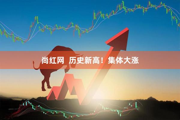 尚红网  历史新高！集体大涨