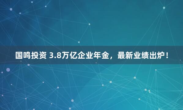 国鸣投资 3.8万亿企业年金，最新业绩出炉！