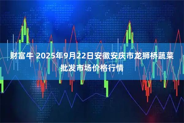 财富牛 2025年9月22日安徽安庆市龙狮桥蔬菜批发市场价格行情
