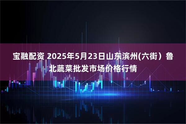 宝融配资 2025年5月23日山东滨州(六街）鲁北蔬菜批发市场价格行情