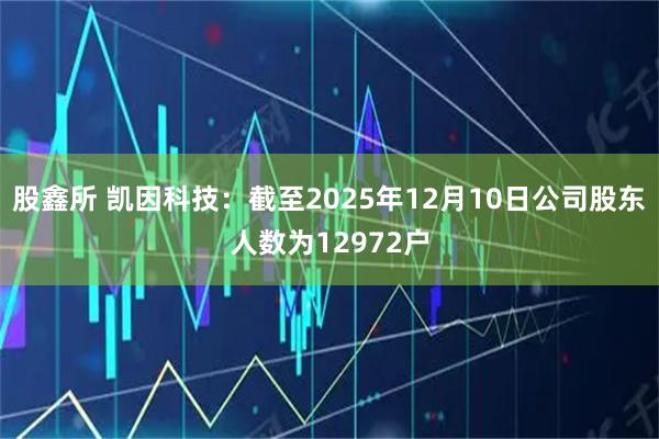 股鑫所 凯因科技：截至2025年12月10日公司股东人数为12972户