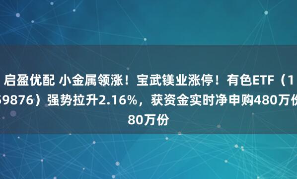 启盈优配 小金属领涨!宝武镁业涨停!有色ETF(159876)强势拉升2.16%,获资金实时净申购480万份
