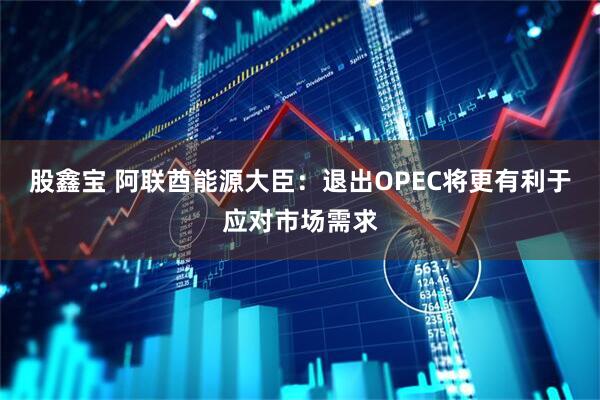 股鑫宝 阿联酋能源大臣：退出OPEC将更有利于应对市场需求